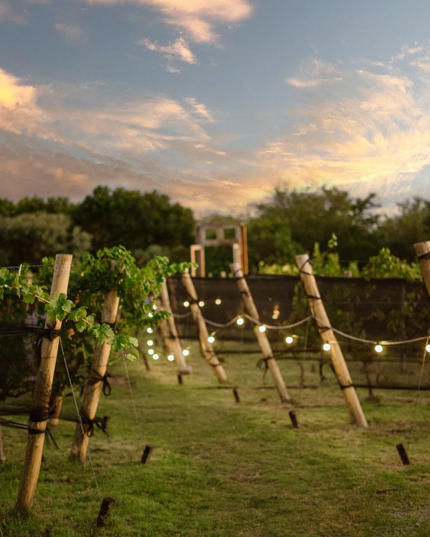 Carrusel Celebraciones (6)